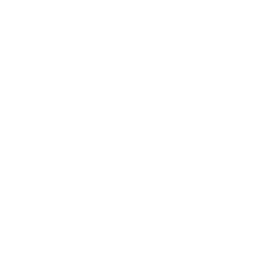 Automotive