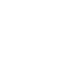 Food & Bev
